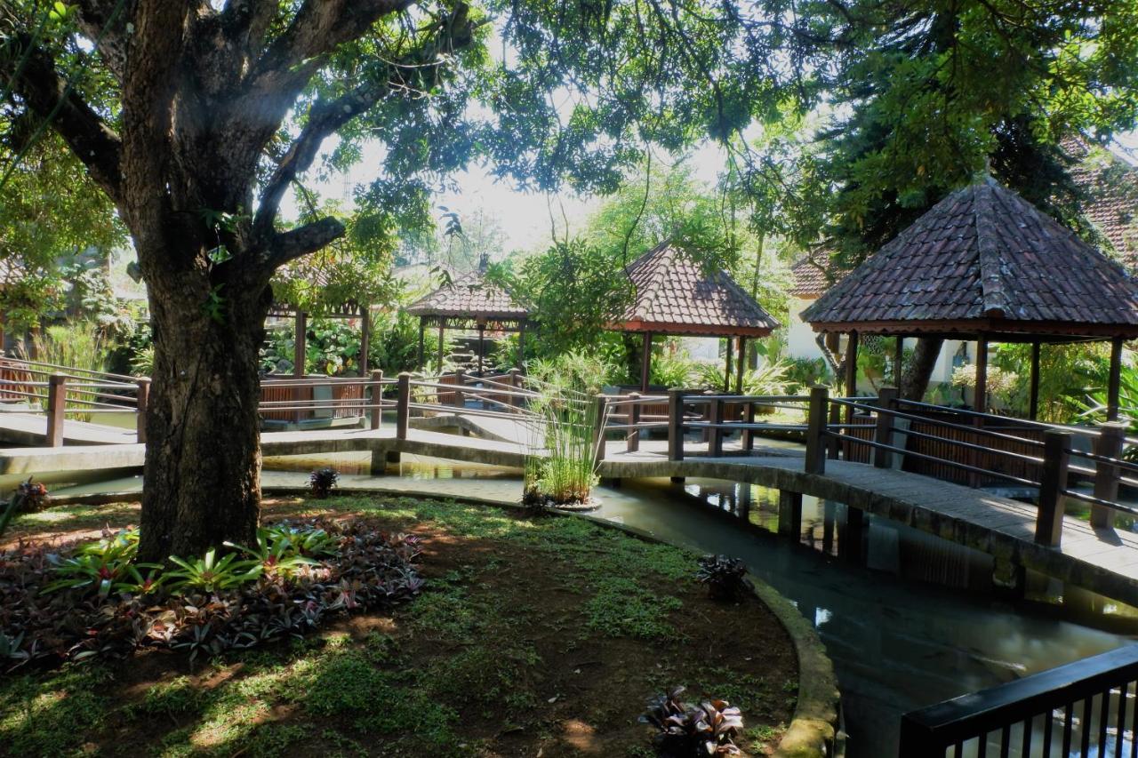 Hotel Minak Jinggo Banyuwangi  Zewnętrze zdjęcie